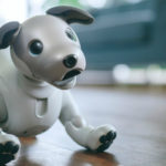 Срещу $3000 куче-робот пази дома денонощно