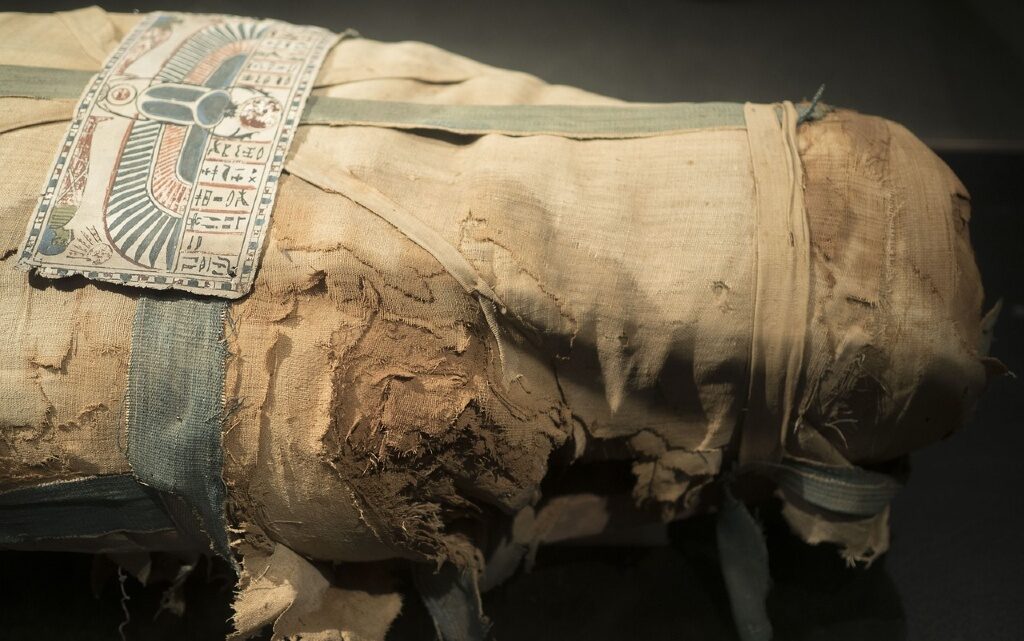 Откриха бременна египетска мумия в... Полша