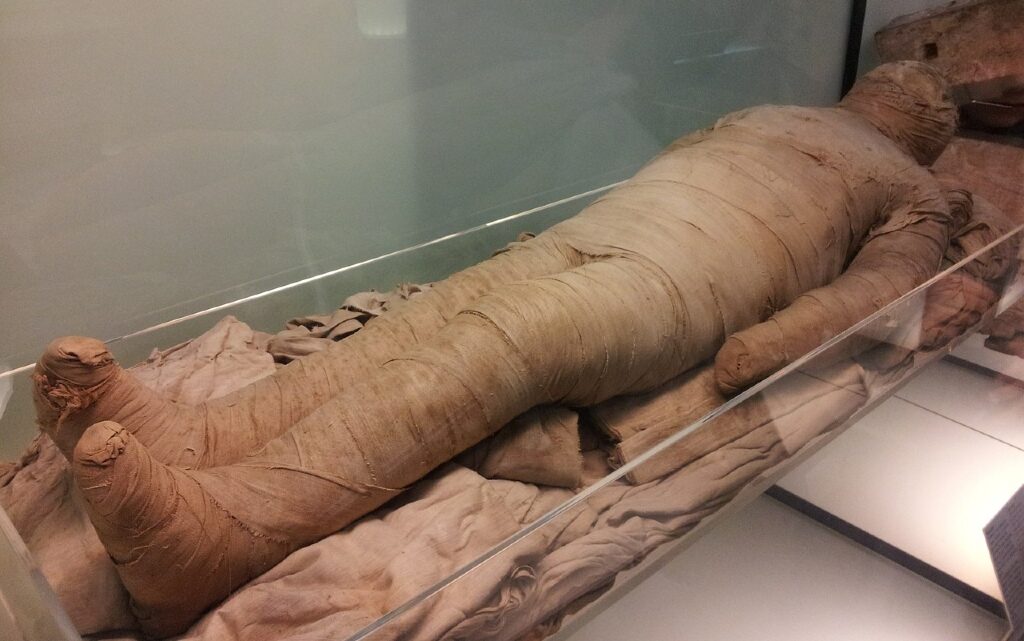 Откриха бременна египетска мумия в... Полша