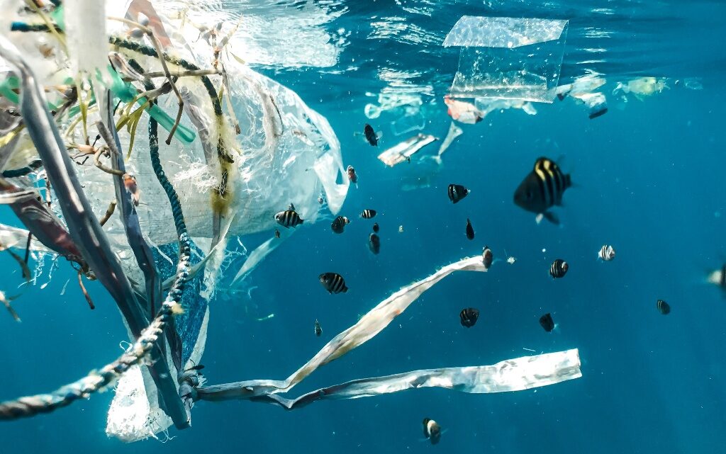 пластмасови отпадъци